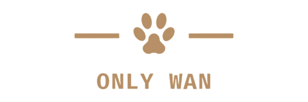 ONLY WAN(オンリーワン)